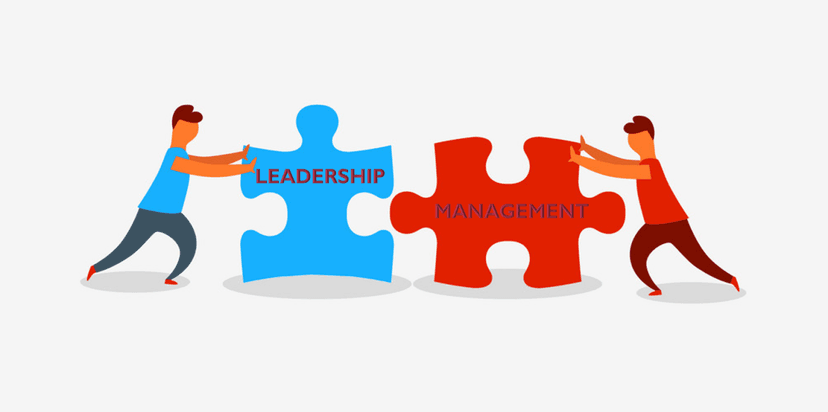 ILM & Lean Organisation Management Techniques